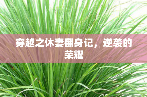 穿越之休妻翻身记图片