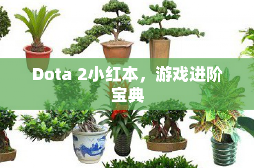 Dota 2小红本图片