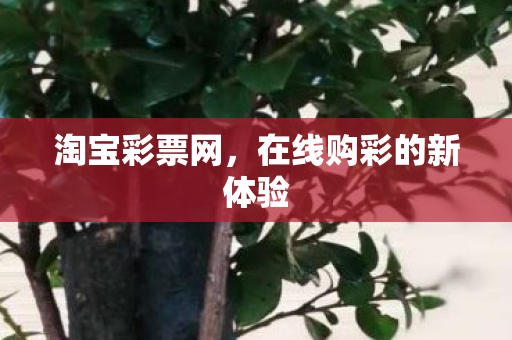 在线购彩的新体验图片
