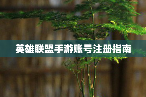英雄联盟手游账号注册指南图片