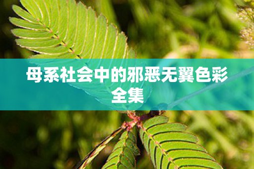 母系社会中的邪恶无翼色彩全集图片