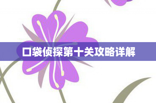 口袋侦探第十关攻略详解图片