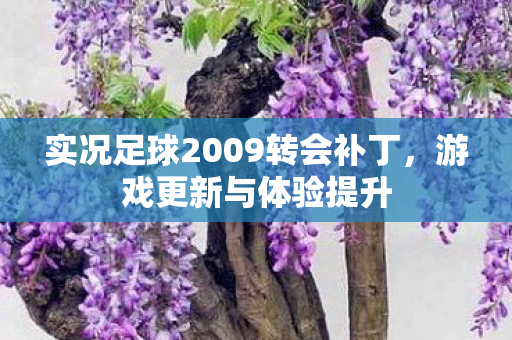 实况足球2009转会补丁图片