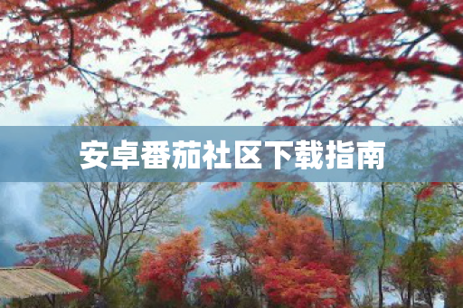 安卓番茄社区下载指南图片