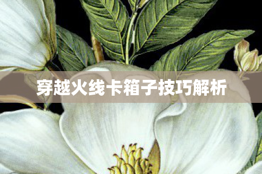 穿越火线卡箱子技巧解析图片