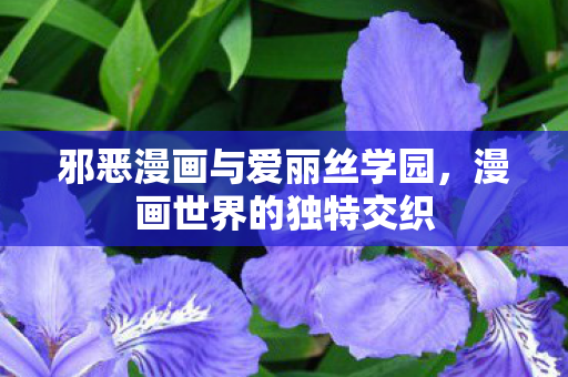 邪恶漫画与爱丽丝学园图片