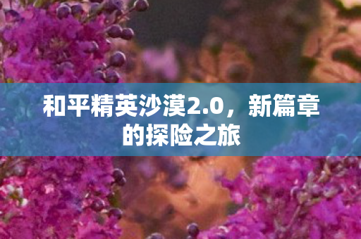 新篇章的探险之旅图片