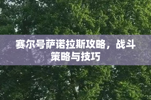 赛尔号萨诺拉斯攻略图片