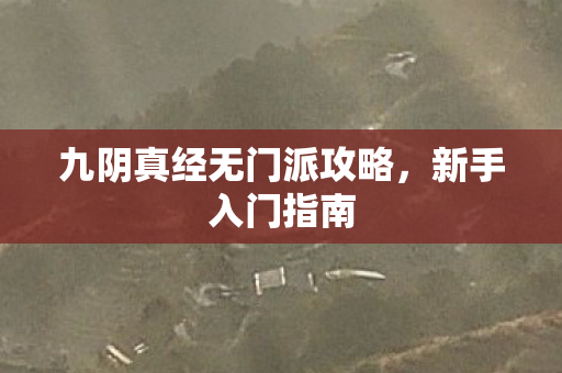 九阴真经无门派攻略图片