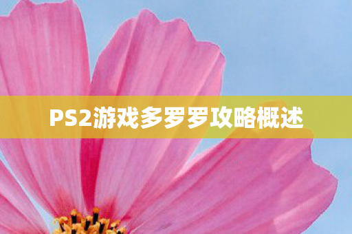 PS2游戏多罗罗攻略概述图片