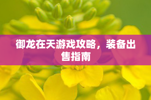 御龙在天游戏攻略图片