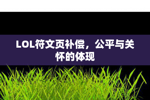 LOL符文页补偿图片