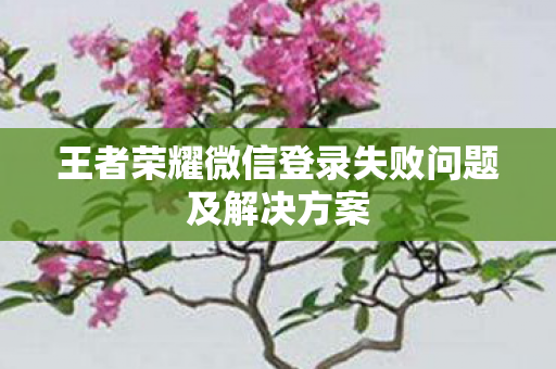 王者荣耀微信登录失败问题及解决方案图片