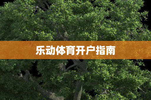 乐动体育开户指南图片