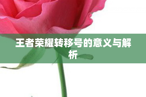 王者荣耀转移号的意义与解析图片