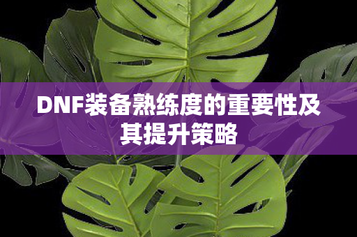 DNF装备熟练度的重要性及其提升策略图片