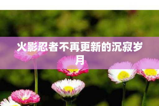 火影忍者不再更新的沉寂岁月图片