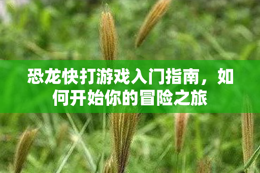 恐龙快打游戏入门指南图片