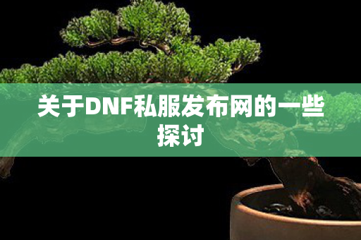 关于DNF私服发布网的一些探讨图片