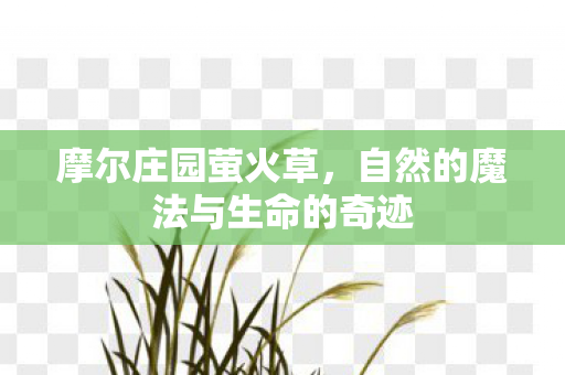 自然的魔法与生命的奇迹图片