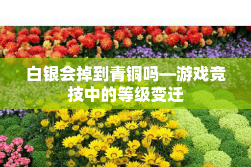 游戏竞技中的等级变迁图片