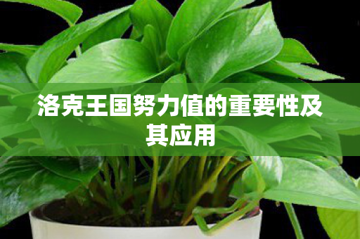 洛克王国努力值的重要性及其应用图片