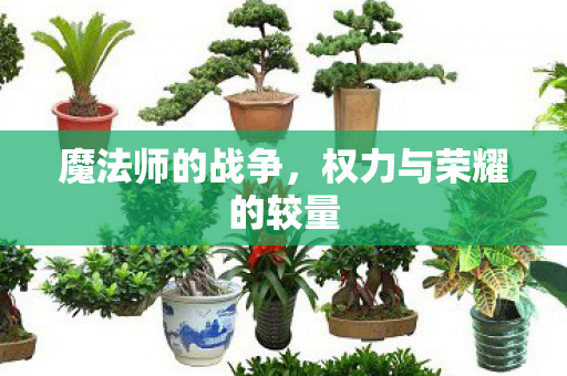 权力与荣耀的较量图片