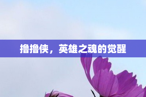 英雄之魂的觉醒图片