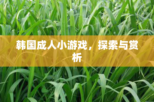 韩国成人小游戏图片