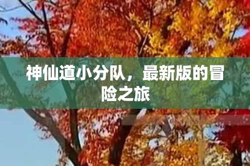 最新版的冒险之旅图片