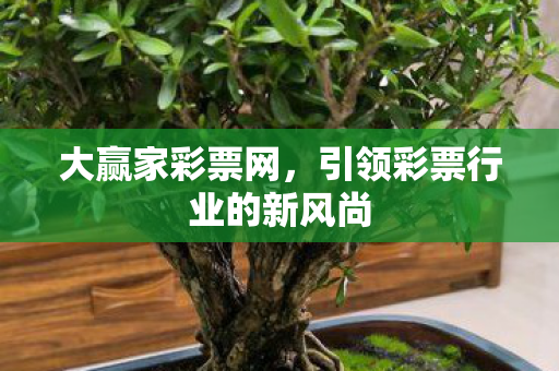 引领彩票行业的新风尚图片