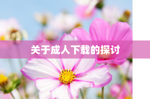 关于成人下载的探讨图片