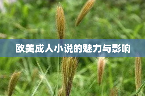 欧美成人小说的魅力与影响图片