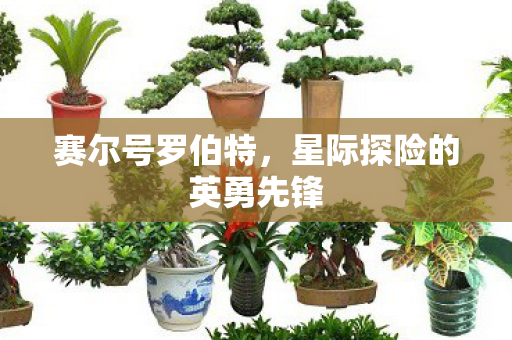星际探险的英勇先锋图片