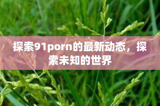 探索91porn的最新动态图片