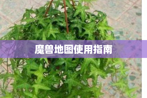 魔兽地图使用指南图片