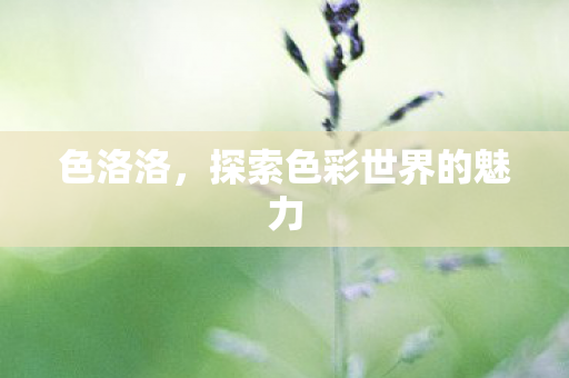 探索色彩世界的魅力图片