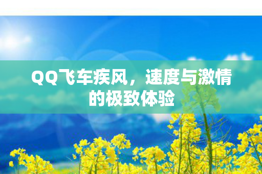 速度与激情的极致体验图片