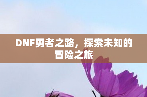 探索未知的冒险之旅图片