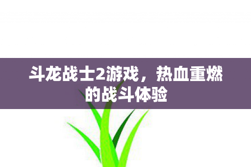 热血重燃的战斗体验图片