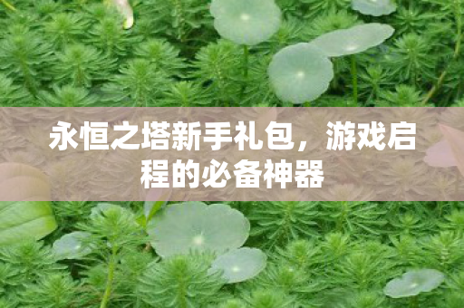游戏启程的必备神器图片