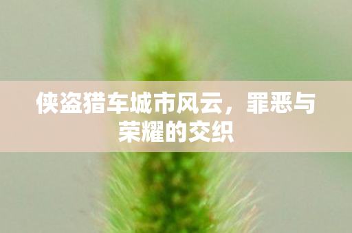 侠盗猎车城市风云图片