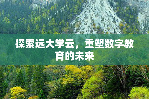 重塑数字教育的未来图片
