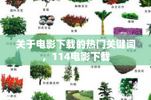 关于电影下载的热门关键词图片