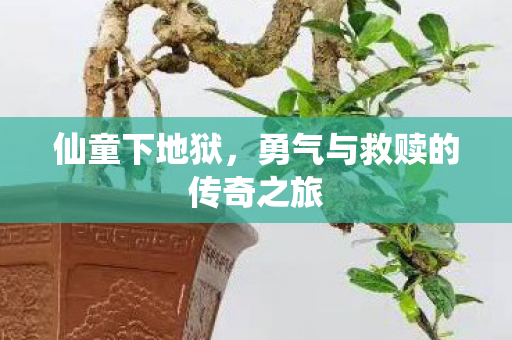 勇气与救赎的传奇之旅图片