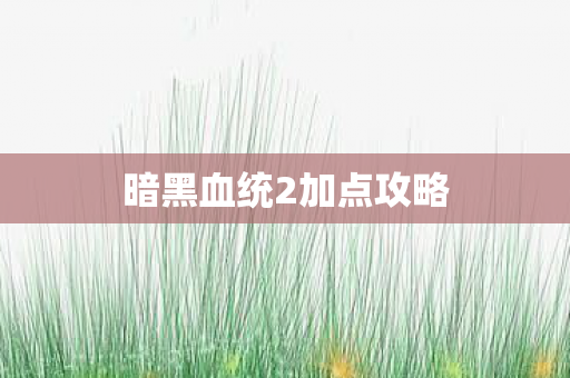 暗黑血统2加点攻略图片