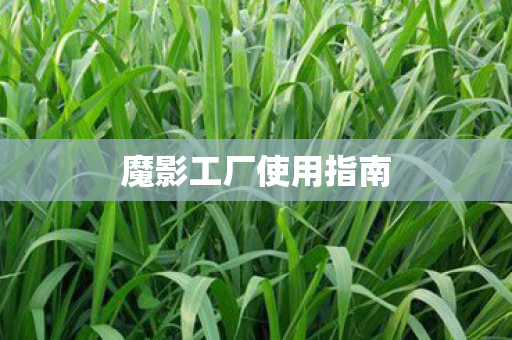 魔影工厂使用指南图片