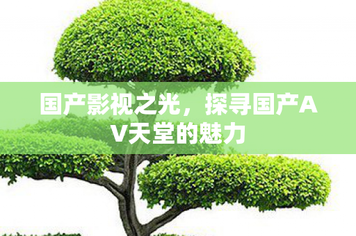 探寻国产AV天堂的魅力图片