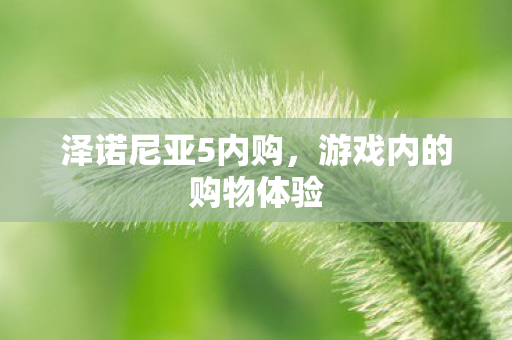 游戏内的购物体验图片