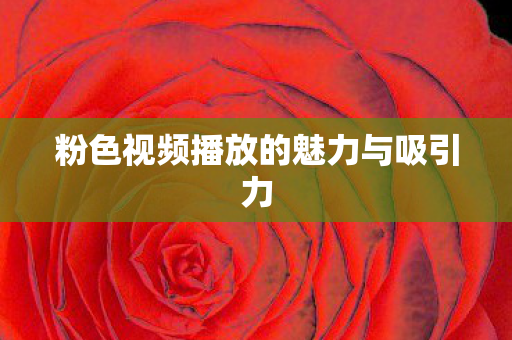 粉色视频播放的魅力与吸引力图片